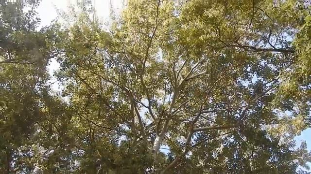 Встреча рассвета на море.Чуть Керчи... смотреть онлайн