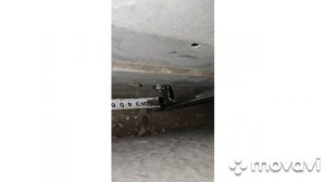 установка электростеклоподьемников МАЗ 5440.