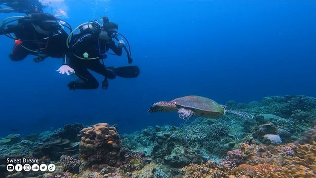Нежная музыка и успокаивает нервную систему - лечебная музыка для сердца и радует душу #296 смотреть онлайн