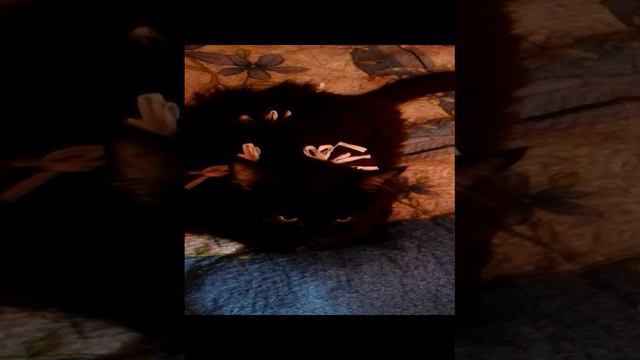 моя доча после операций