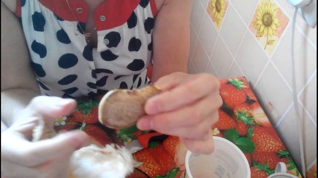 Посев семечка манго. Выращивание манго дома. смотреть онлайн