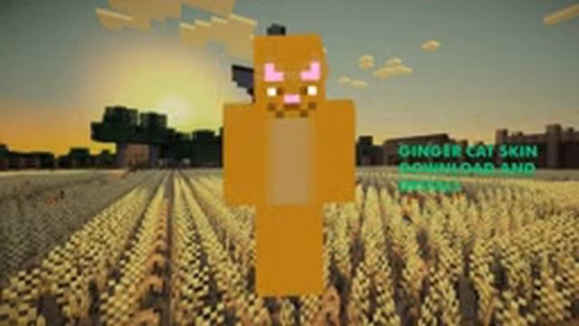 Best Ginger Cat Minecraft Skin ? Download Links ? Ginger Cat Skin For Minecraft Gallery