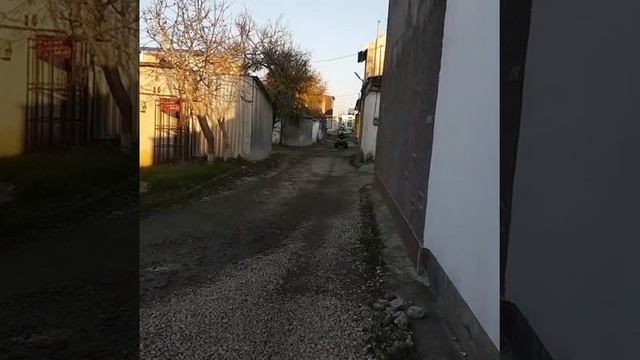 Детский квадроцикл MOTAX Mini Grizlik Х-16 смотреть онлайн