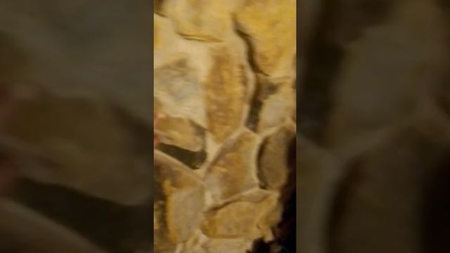 как сделать теплый пол зимой в бане смотреть онлайн