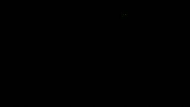 Разборка собак за тереторию ночью (жосткая) смотреть онлайн