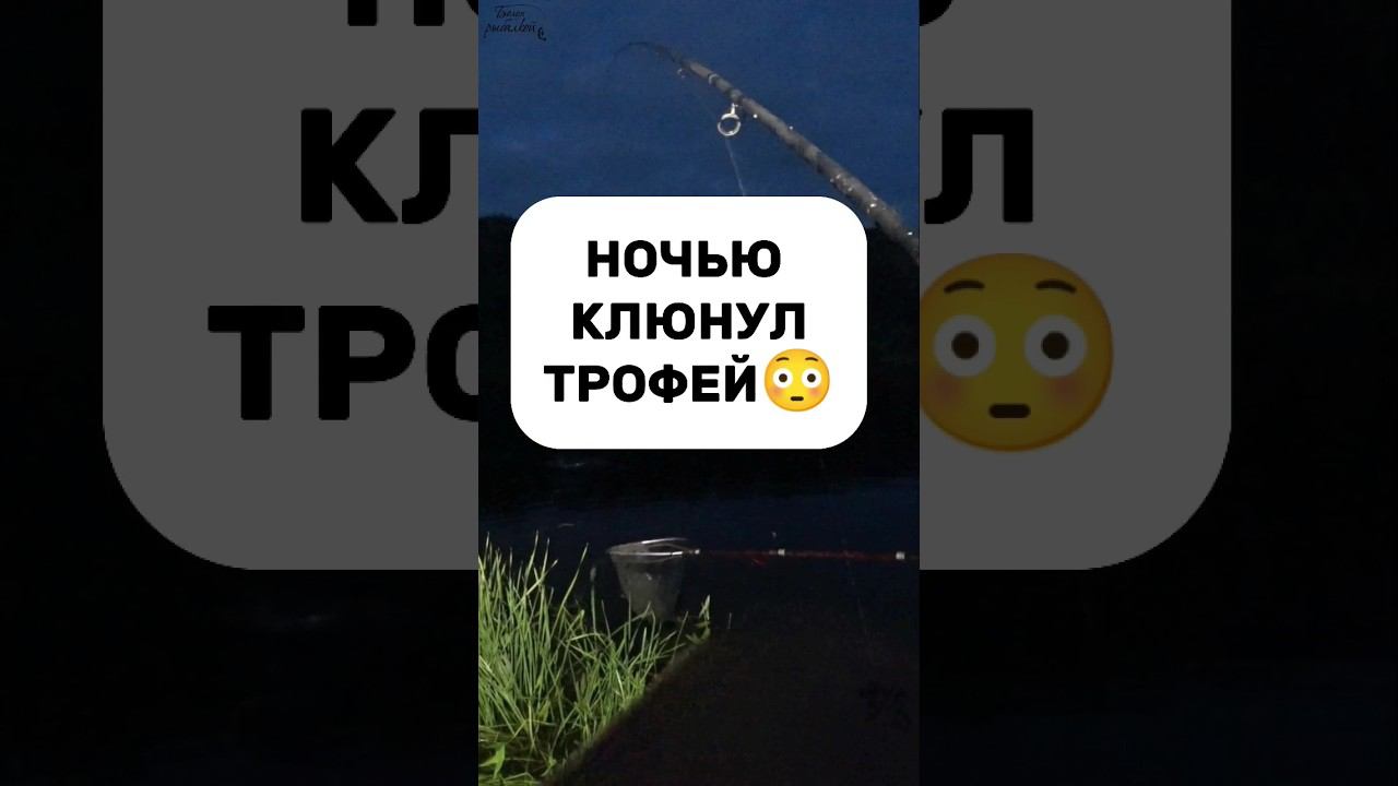 Ночью клюют самые крупные##fishing #фидер #шортс #fish #рек #рекомендации #лещ #боленрыбалкой смотреть онлайн