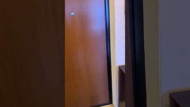 улица Латышских Стрелков д. 17 к 1 смотреть онлайн