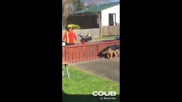 BEST CUBE COMPILATION #6 BEST COUB JOKES 2019 September