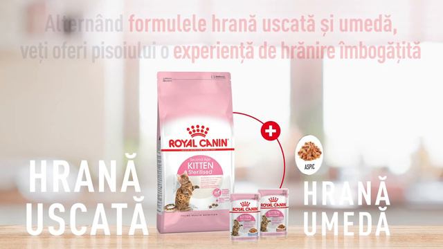 Royal Canin FHN Kitten Sterilised смотреть онлайн