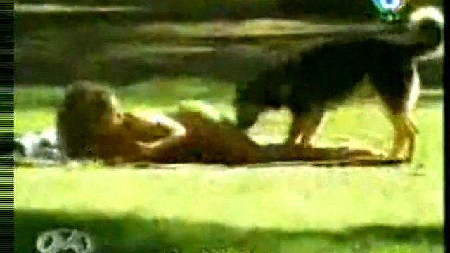 Озабоченный песик смотреть онлайн