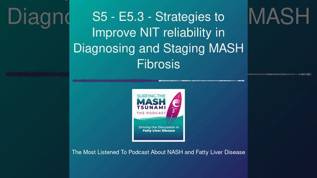 S5 - E5.3 - Strategies to Improve NIT reliability in Diagnosing and Staging MASH Fibrosis смотреть онлайн