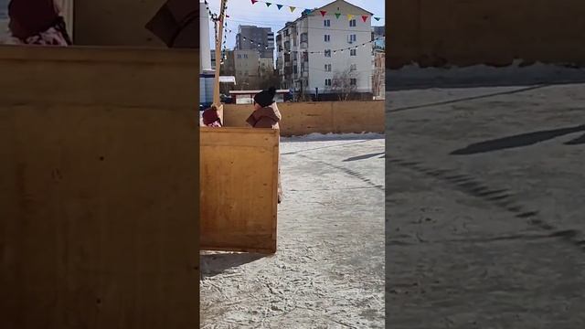 Весёлый праздник в Вербное воскресенье. Танцы, песни, развлечение. 9 апреля. Якутск. смотреть онлайн