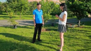 МОЖНО ЛИ САЖАТЬ ГАЗОН ПОД ДЕРЕВЬЯМИ