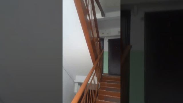 Ремонт подъезд после смотреть онлайн