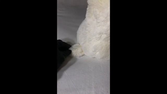 Плюшевый Мишка 50 см "ШАТО" молочный смотреть онлайн