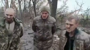 хохлы в плену