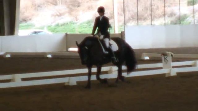 Jil and DeeAnne Gunnemann - Training Level Test 2 - Del Mar 2011 - August Show смотреть онлайн