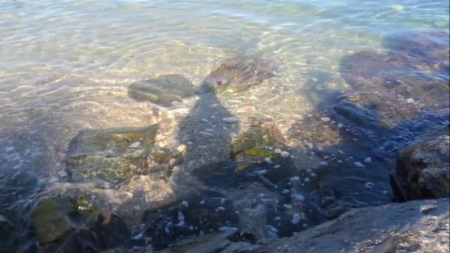 Пешком до Фуэнхиролы по берегу моря (ч.1), Бенальмадена, Испания, 6 ноября 2015 г смотреть онлайн