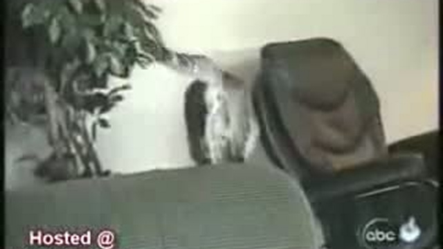 Забавные животные 17 смотреть онлайн