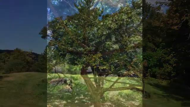 "Contemplation, Collaboration and Change" Garrison Insititute, September 2013 смотреть онлайн