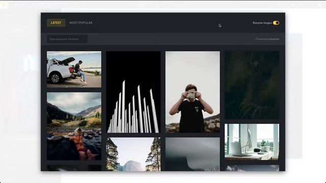 Unsplash Integration | Bricks смотреть онлайн