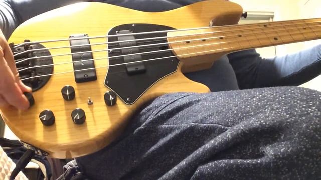 Lakland Skyline 55-01 Bass@gagiktoroyan1288 смотреть онлайн