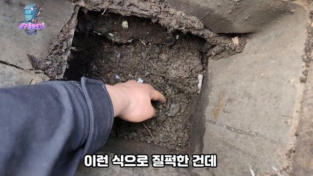 건습식 청소기 역대급 성능? 극한 테스트 진행 해보고 이야기하자! 공장에서 진행하는 실 사용 테스트 함께 가시죠(카처 NT 22/1 Ap Te L )#청소기추천 #카처 #청소기필 смотреть онлайн