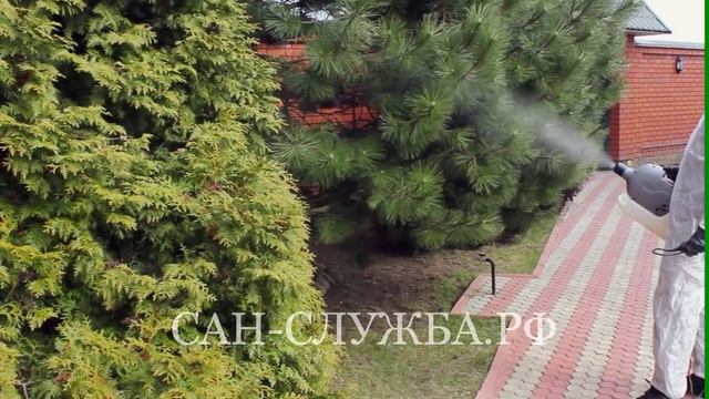 Обработка дачного участка от комаров смотреть онлайн
