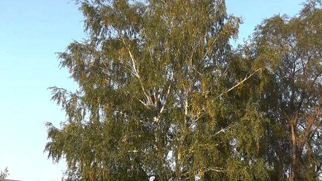 ЕСТЬ В ОСЕНИ ПЕРВОНАЧАЛЬНОЙ... смотреть онлайн
