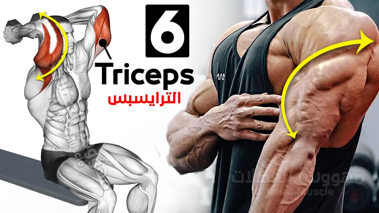 Как быстро накачать трицепс (6 эффективных упражнений) смотреть онлайн