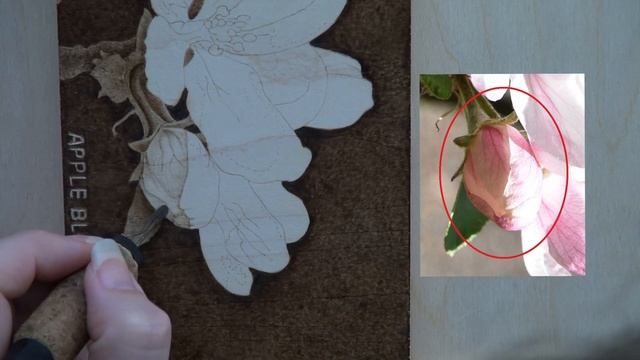Wood Burning- Apple Blossoms Flower - pyrography tutorial смотреть онлайн