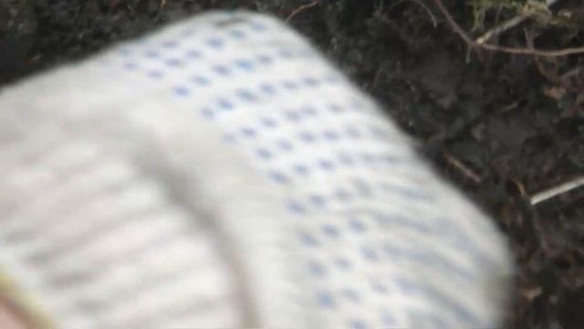 Металлокоп 13 гильз крупнокалиберных смотреть онлайн