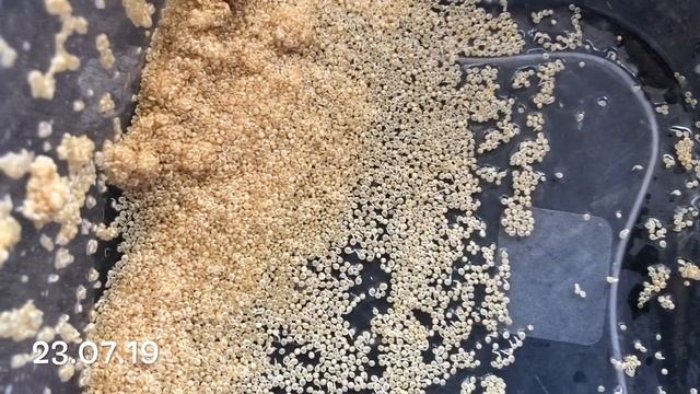 СтройКонструктор