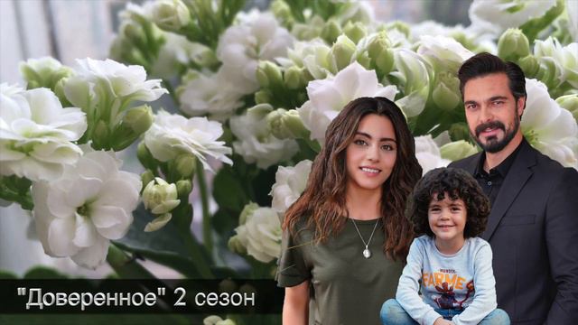 Яман оставил свое наследство Сехер. Что теперь будет делать Джанан? смотреть онлайн