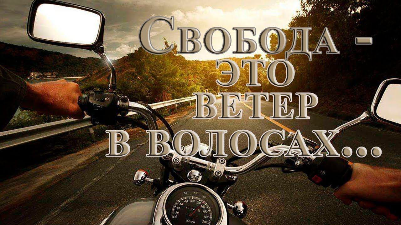 Свобода - это ветер в волосах*
