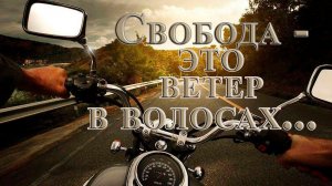 Свобода - это ветер в волосах  *