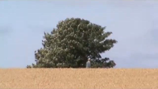 AFC DB Spitfire RIP смотреть онлайн