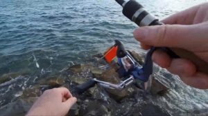 Чёрное море,  рыбалка спиннингом с берега, на бомбарду. Скорпена, ласкирь.