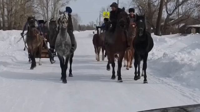 от цыганского народа ? смотреть онлайн