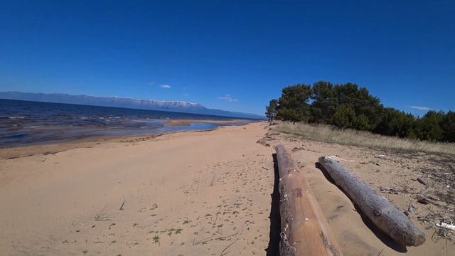 Багульник пылает лилово Байкал 2022 смотреть онлайн