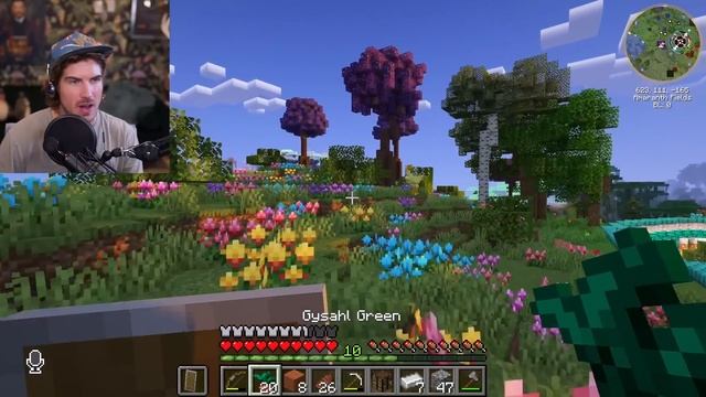 A FAMILIAR NEW BEGINNING!!! Minecraft X Life SMP Ep.1 смотреть онлайн
