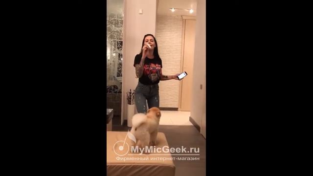 Микрофон MicGeek Q9 с встроенными колонками смотреть онлайн