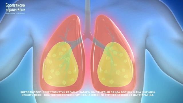 Бромгексин Сироп (Кыр) смотреть онлайн
