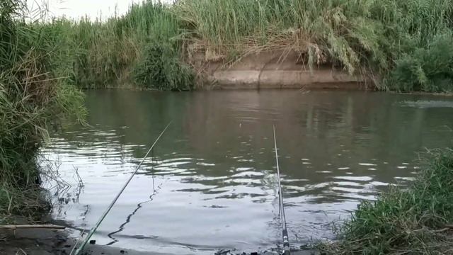Река Иордан. Гешер "Арик" День рождения на рыбалке 21.8.2019. My fishing смотреть онлайн