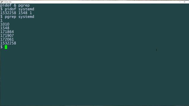 How to use the pidof and pgrep commands: 2-Minute Linux Tip смотреть онлайн