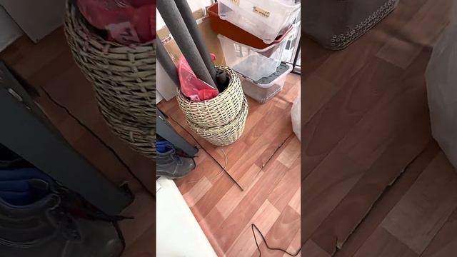 БАЛКОН ДАЧНИЦЫ, ВСЁ НУЖНОЕ #расхламлениебалкона #балкондачницы #уборканабалконе #рекомендации смотреть онлайн