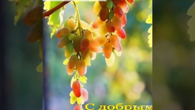 Золотая осень.друзья смотрите видео до конца ставьте лайки и жмите на колокольчик, делитесь с друзь