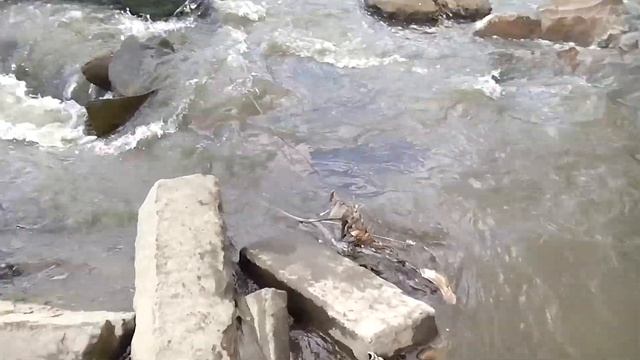 река обь 2 смотреть онлайн