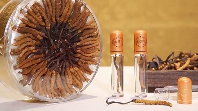 cordyceps Sinensis Introduction смотреть онлайн