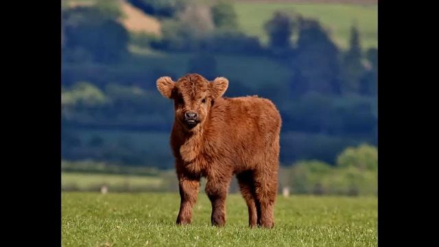 Христианские Стихи Устами Бабушки 4 смотреть онлайн